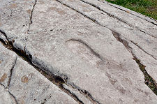 The Footsteps of Kings