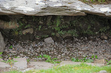 View into the Interior