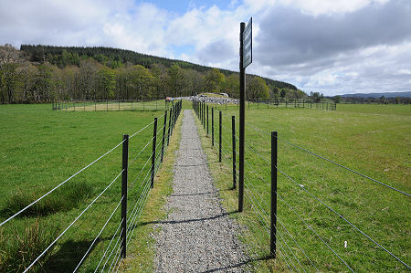 Looking Along the Path from the Road