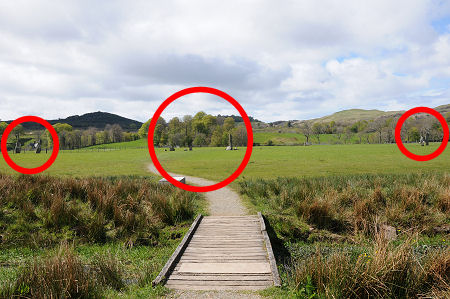 The Site from the East, Showing the Southern, Central and Northern Groups of Stones Circled from Left to Right