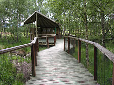 Beaver Viewing Platform