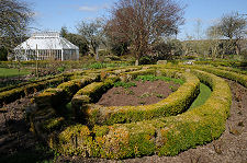Box Hedges in the Garden