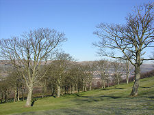 View from Bar Hill Towards Kilsyth