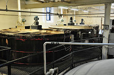 Washbacks and Mash Tun