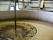 Steeping the Barley