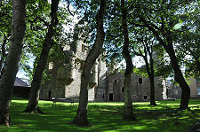 Earl's Palace Through Trees