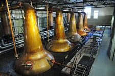 View of the Still House