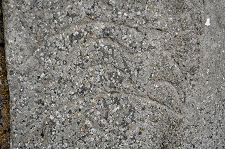 Traces of a Pictish Symbol