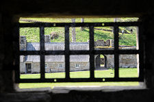 View from the Tower House