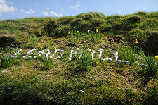 Station Name, Leadhills Station