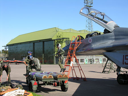 A Polish Air Force MiG-29 Pilot Celebrates a Stunning Display After Landing