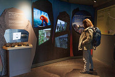 Inside the Visitor Centre