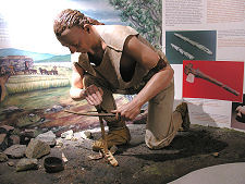 Interpretive Displays