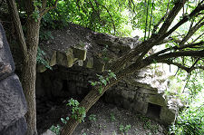 Inside View of Forework