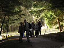 Visitors in the Forest