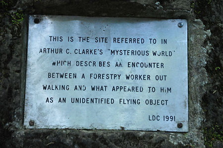 The Plaque