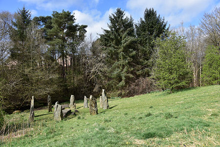 The Stones in Their Setting