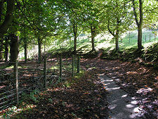 View Down Drive from the North