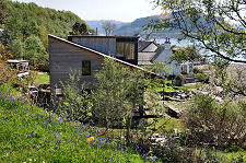 Modern Wood-Clad House