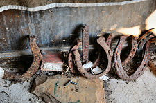 Horseshoes