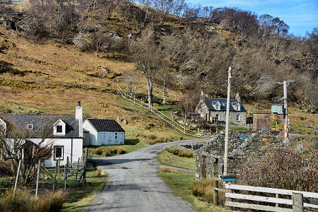 The Road Through Nedd