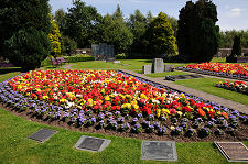 Another View of the Garden