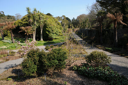 The Walled Garden