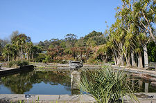 The Formal Pond