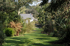 Lower South Woodland