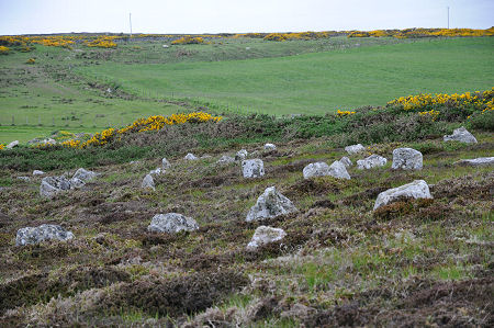 Another View of the Hill o' Many Stanes