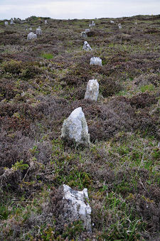 One of the Stone Lines