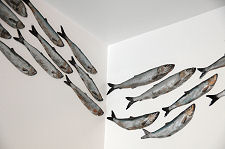 Herring or Silver Darlings on the Wall
