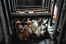 Inside the Fish Smoking Kiln