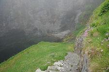 The Bink and the Haven