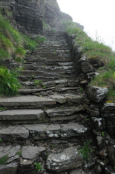 Looking Up the Steps