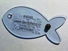 Alistair is Sponsored By...