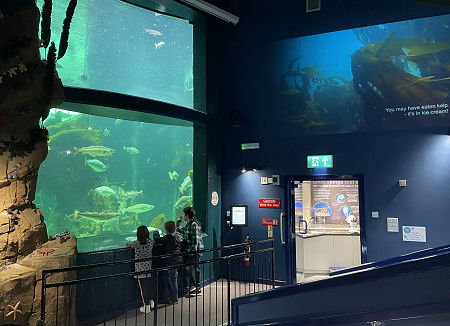 AV Theatre and Main Tank
