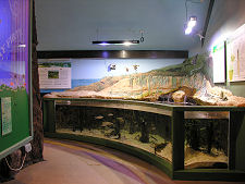 Introduction to the Moray Firth