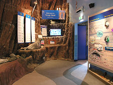 Marine Life at Troup Head