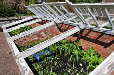 Cold Frames