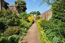 Path Through Flowers