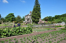 The Vegetable Garden