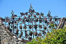 Wrought Iron Vines