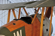 Close Up of the Camel