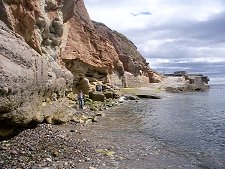 Boddin Harbour at Low Tide