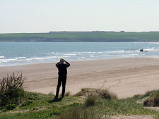 Looking South along Lunan Bay