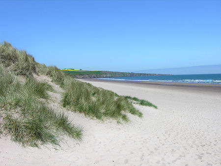 Looking Along the North Half of Lunan Bay