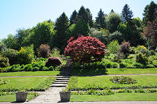The Formal Garden