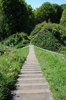 The Reverse of the Above View