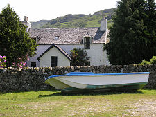 Close Up of Barachandroman